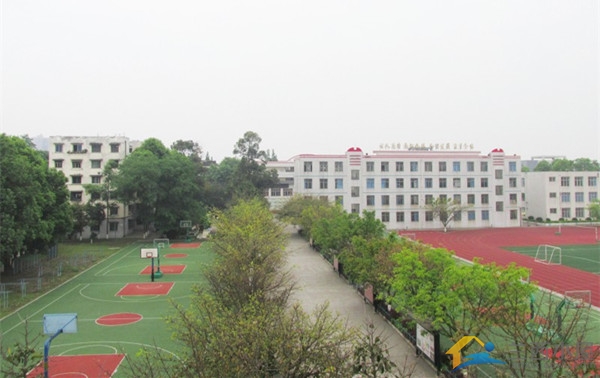 青白江区高中图片