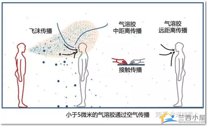 新冠病毒传播路径图图片