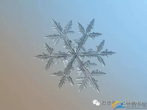 十一種形態的雪花,你都見過嗎?